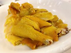 客家盐焗鸡-围龙屋客家食府(福田店)