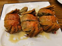 -呼吸森林·生态农庄农家乐私房菜