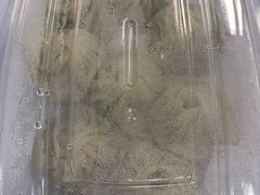 -笼铭坊(北蔡店)