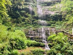 -碧峰峡风景区