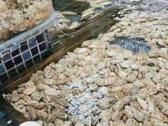 -天盛海鲜烧烤大排档·本地小海鲜·牟平腿穗子(幸福店)