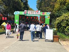 -上海都市菜园