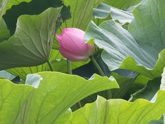 -长春市南湖公园