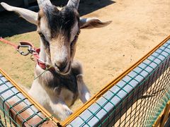 -潭柘厚院&山顶烤肉(潭柘寺店)