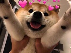 -胡桃里音乐酒馆(四道口店)