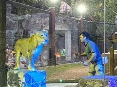 -清迈夜间动物园
