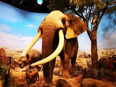 -陕西自然博物馆