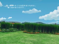 -空港花田景区