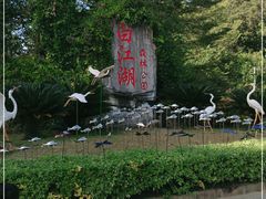 -广州白江湖森林公园