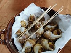 海螺-天然居(伦教店)