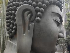 -杭州植物园
