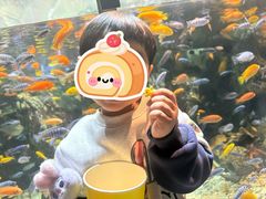 -太平洋海底世界