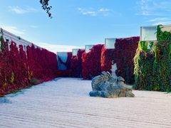 -敦煌石窟文物保护研究陈列中心