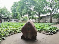 -绍兴鲁迅故里·沈园景区