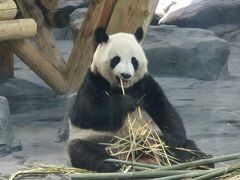 -秦皇岛野生动物园