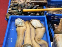 -吴记富苑(朝阳店)