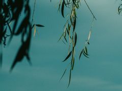-汉江湾体育公园