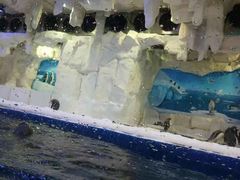 -华夏文旅海洋公园