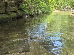 -重庆彩云湖湿地公园