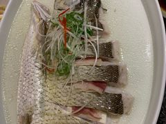 双鲜蒸开刀大白丝-同里湖大饭店-怡景轩中餐厅(同里古镇店)