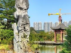 -广州神农草堂中医药博物馆