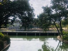 -四海公园(南山区)