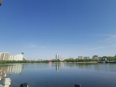 -莲花池公园