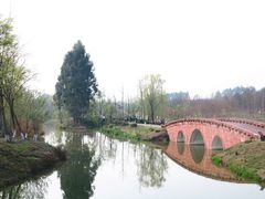 -白鹭湾湿地公园