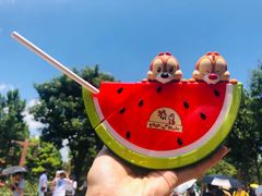 -上海迪士尼度假区