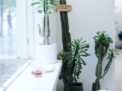 -收获咖啡HARVEST RESERVE(苍山店)