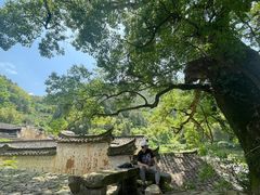 -杨家堂村