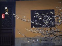 -西园戒幢律寺