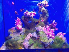 -多彩贵州城极地海洋世界