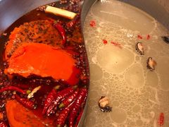 -季季红火锅(动壹店)