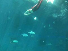 -北戴河圣蓝海洋公园