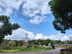 -东平国家森林公园