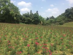 -保利石象湖景区