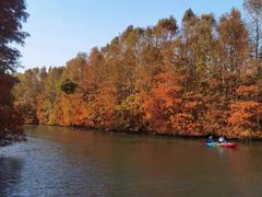 -上海海湾国家森林公园