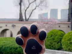 -静园(和平区)