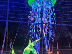 -武汉园博园(武汉自然博物馆)