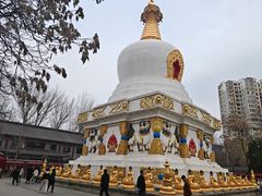 -护国法轮寺