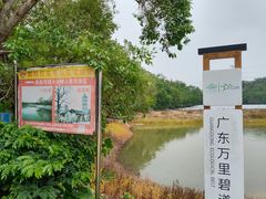 -荔枝红五号农庄