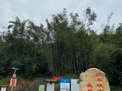 -羚羊峡古栈道森林公园