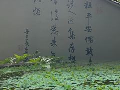 -兰亭风景区