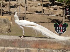 -哈尔滨北方森林动物园