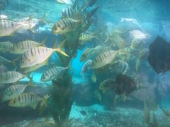 -波塞冬旅游度假区