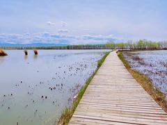 -野鸭湖国家湿地公园