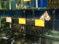 海鲜池-蚝专家(北滘店)