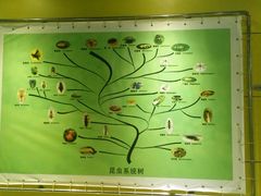 -上海昆虫博物馆