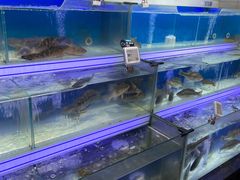 水产区-盒马鲜生(悠方店)